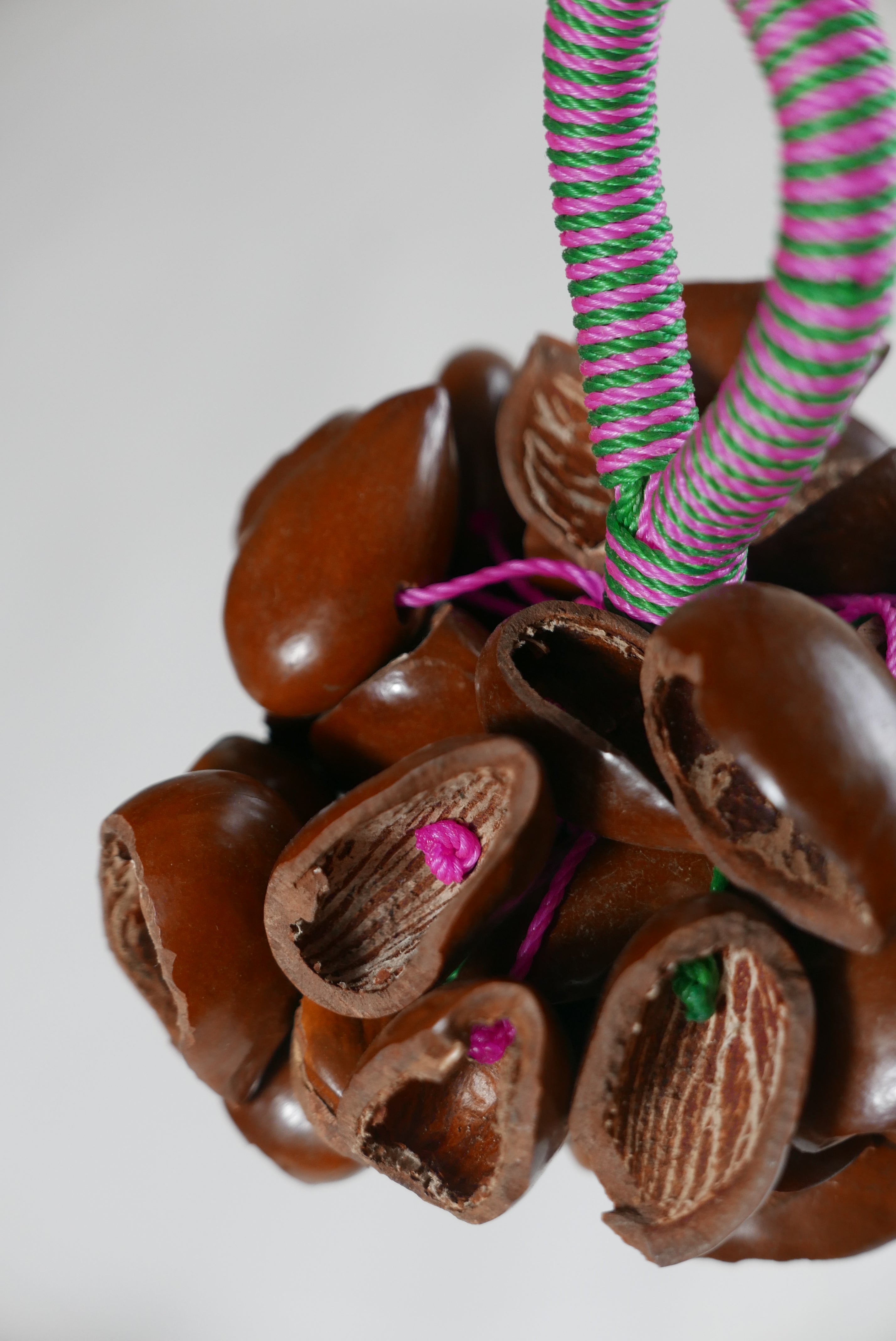 Kola ořechy S - M - L