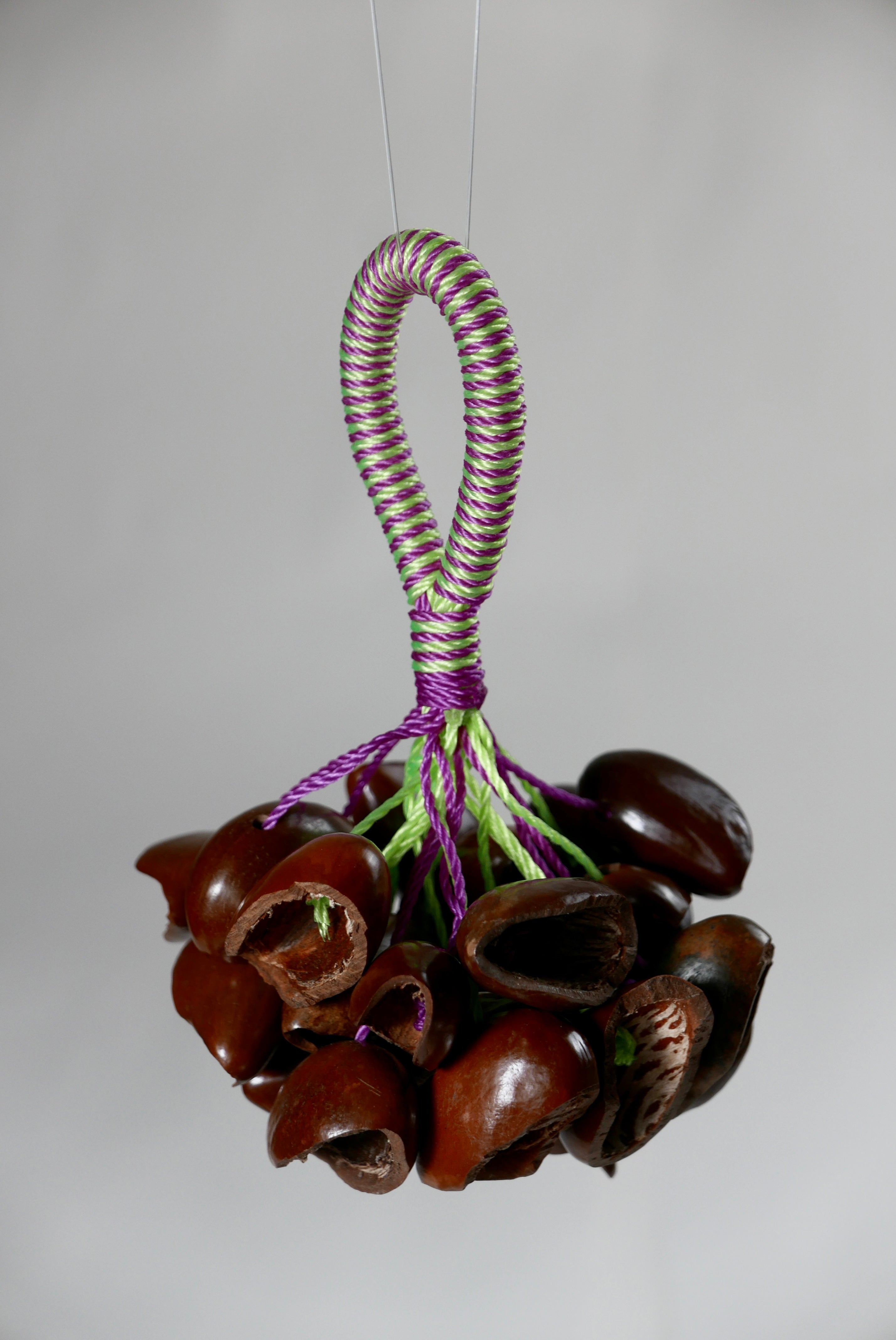 Kola ořechy S - M - L