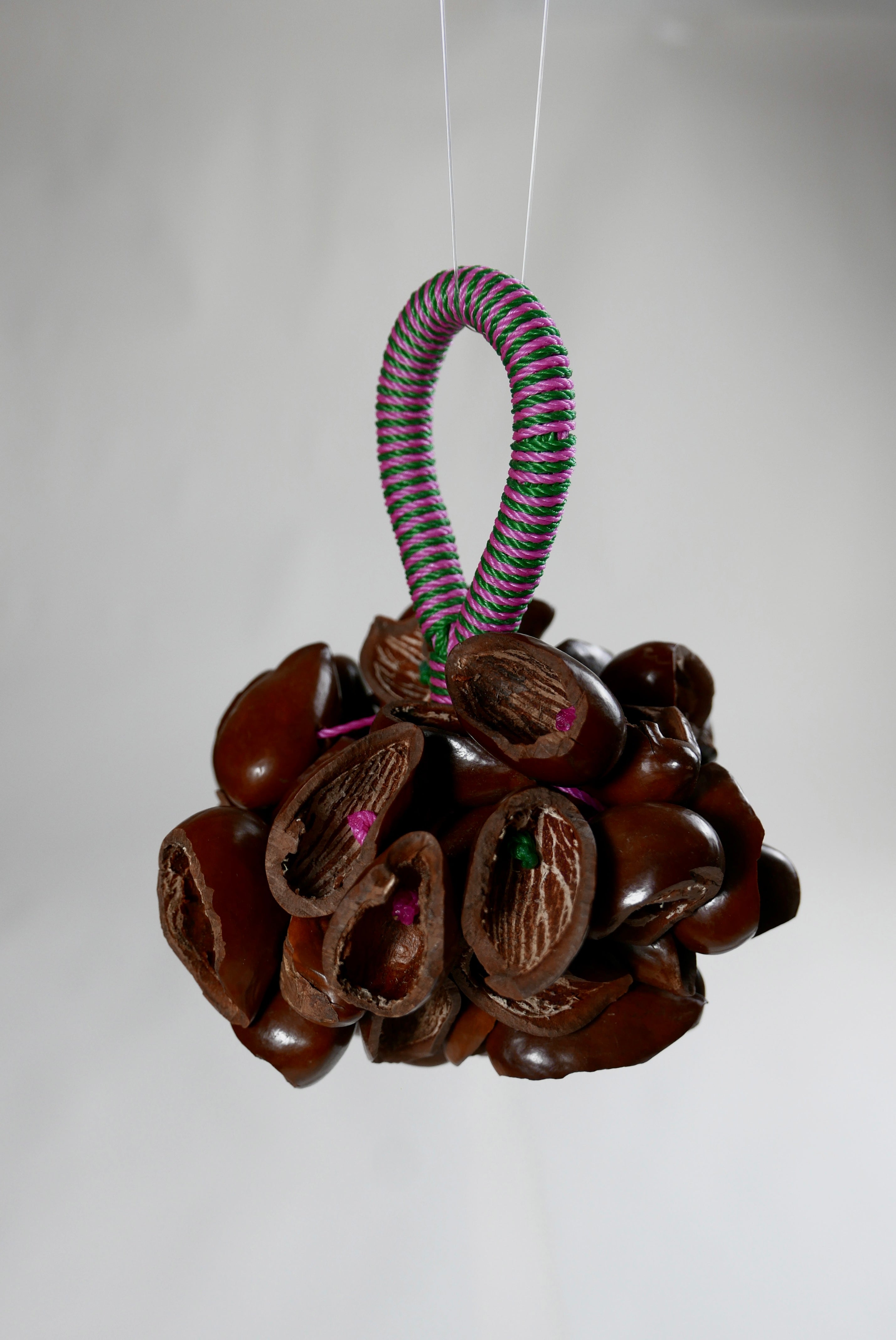 Kola ořechy S - M - L