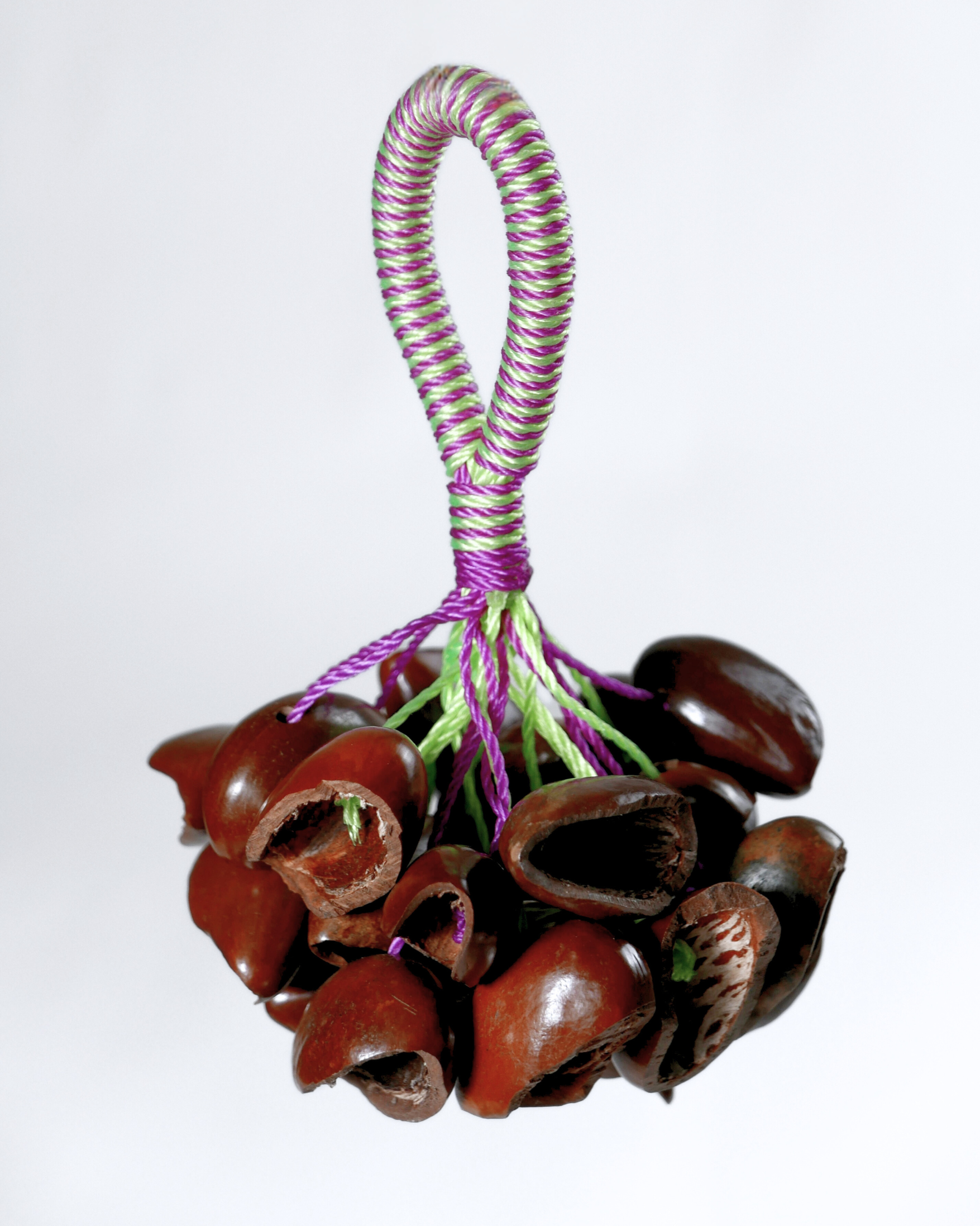 Kola ořechy S - M - L