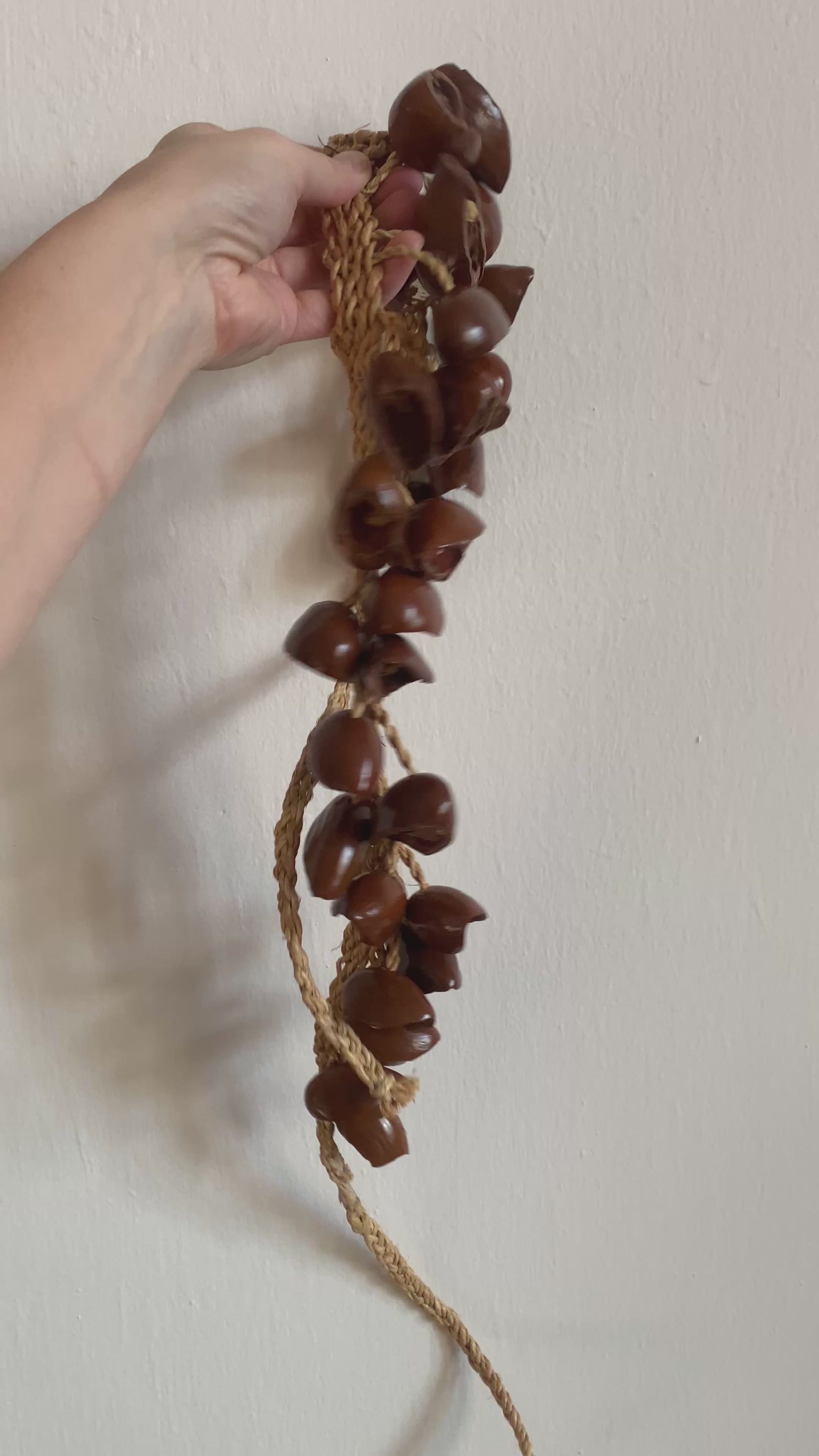 Kola ořechy řetěz